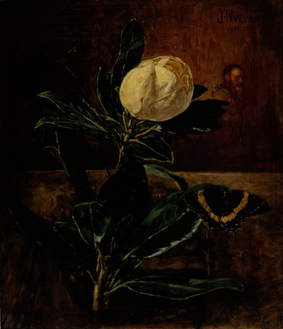 The Magnolia by Julio Ruelas